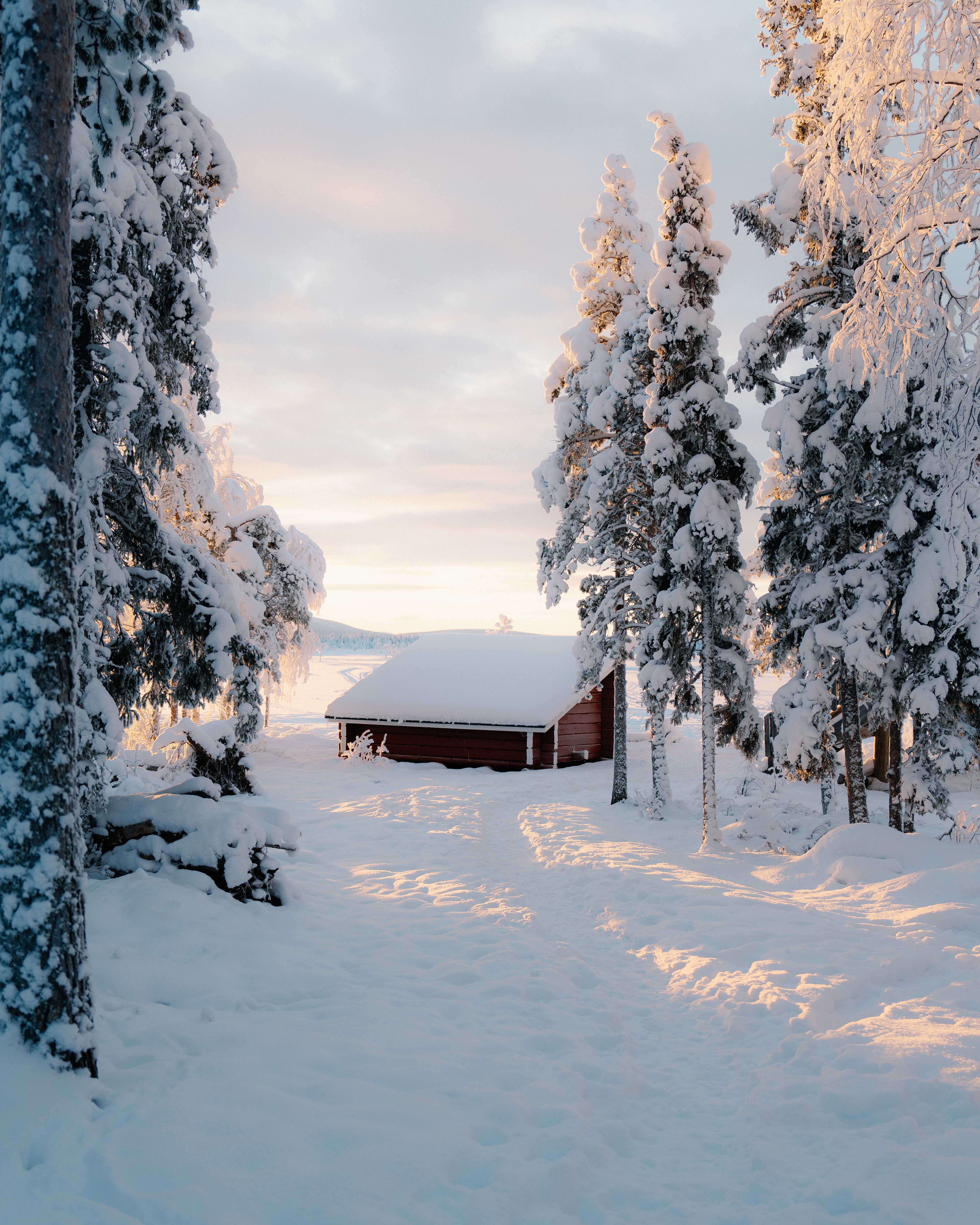 A small cabin buried in snow in a snowy forest